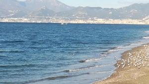 Φυσικό τοπίο κοντά σε αυτό το ξενοδοχείο
