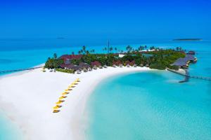 Afbeelding uit fotogalerij van Dhigufaru Island Resort in Baa Atoll