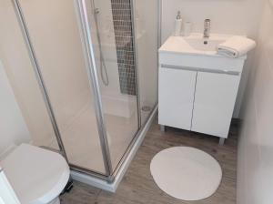 a bathroom with a shower and a toilet and a sink at Flamingo Beach House in Santa Luzia
