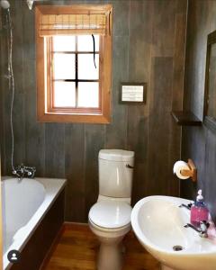 a bathroom with a toilet and a sink and a tub at Luxury Treetop Lodge in Marloth Park +21 photos