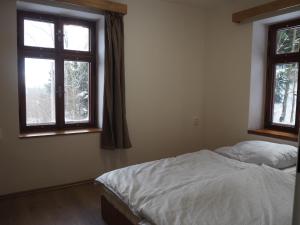 a bedroom with two beds and two windows at Draslovanka in Bedřichov