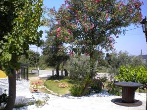 Um jardim em Pension Sotiria
