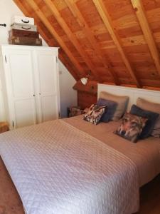 1 dormitorio con 1 cama en una habitación con techos de madera en Vakantiewoning-deblinker en Sint-Laureins