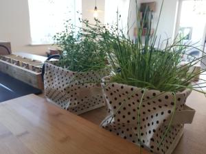 Mynd úr myndasafni af Vakantiewoning-deblinker í Sint-Laureins