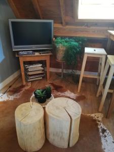 Sjónvarps- og/eða afþreyingartæki á Vakantiewoning-deblinker