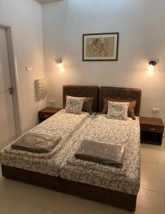 a bedroom with a large bed with two night stands at Apartmani Diksi 2 CENTAR in Zrenjanin