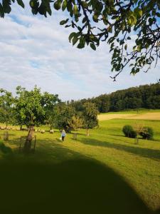 una persona caminando en un campo con un árbol en Ferienbauernhof en Lügde