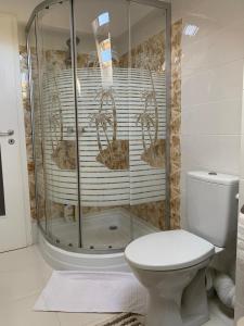 a bathroom with a toilet and a glass shower at Simona Apartament Palas Mall in Iaşi