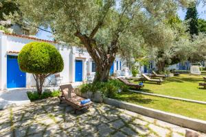 Zahrada ubytování Risus Garden Marina Hotel