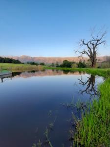 a bench sitting next to a lake with a tree at Klipfontein Rustic Farm & Camping in Tulbagh