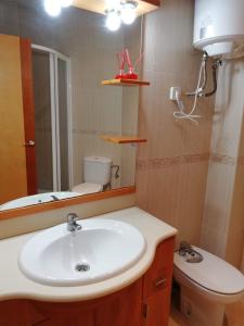 a bathroom with a sink and a toilet and a mirror at Apartment Sabadell 2 in Sabadell