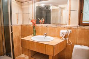 a bathroom with a sink and a mirror at POKOJE GOŚCINNE WILCZNIK 12 in Zakopane