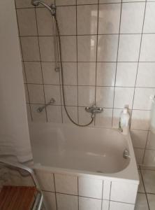 a bath tub with a shower in a bathroom at Pension "Am Zuckerberg" in Brahmenau