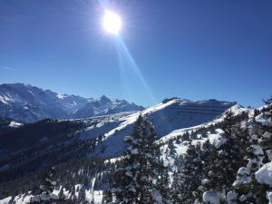 Foto dalla galleria di Chalet Kaprun a Kaprun