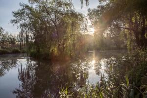 un reflejo del sol en un estanque con árboles en Rum Bridge "Owl Watch" wooden tipi, en Sudbury
