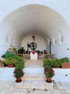 Zahrada ubytování B&B Nonno Ciccio