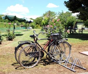 Vélo sur le terrain de l'établissement Villa Lilli 2 ou dans les environs