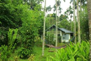 a hammock in front of a house in the forest at Vintage Garden Resort in Sultan Bathery