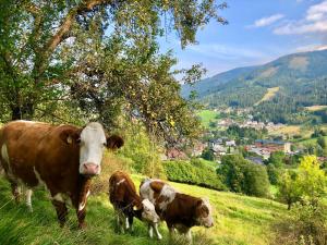 Fotografija v galeriji nastanitve Feichterhof v Bad Kleinkirchheimu