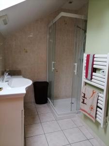 a bathroom with a shower and a sink at Gite a la ferme in Le Malzieu-Ville +14 photos