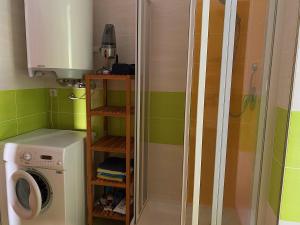 y baño pequeño con lavadora y ducha. en Apartmán Švadlenka, en Rokytnice nad Jizerou