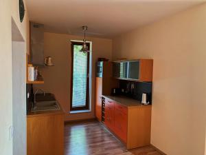 a kitchen with a sink and a microwave at Apartmán Švadlenka in Rokytnice nad Jizerou