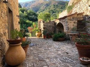 une cour en pierre avec des plantes en pot et une table dans l'établissement Chambres d'hôtes - Mulino nannaré, à Ville-di-Paraso