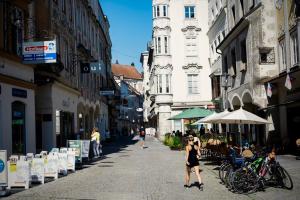 Hostia v ubytovaní Cozy Apartment Steyr Mitte, ruhig, Parkplatz, Terasse, 2 Schlafzimmer, WLAN