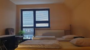 two beds in a room with a window at Agroturystyka Janiczek Tuchów in Dąbrówka Tuchowska