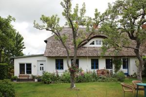 ein weißes Haus mit einem Baum im Hof in der Unterkunft Ferienwohnung im historischen Bauernhaus in Neuendorf Heide