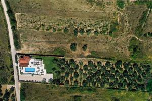Vista árida de una casa en un campo con árboles en Villa Olivetum, en Zadar