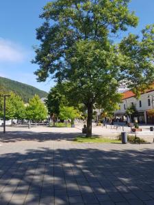 Príroda v okolí apartmánu