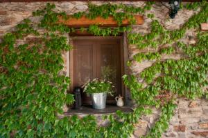 an ivy covered building with a door and two potted plants at Casa-Huerto La Juana in Trevélez