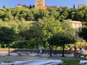 A garden outside Embrujo