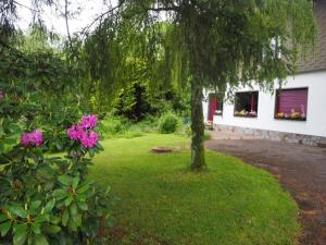 einen Hof mit einem Baum und ein Haus mit rosa Blumen in der Unterkunft Ferienhaus-stadtkyll Beim Förster in Stadtkyll
