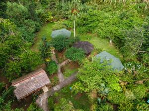 - une vue sur le jardin avec des parasols dans l'établissement Bungalows Aché Cahuita, à Cahuita