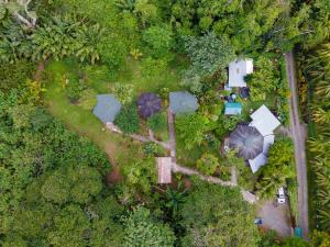 una vista aérea de un jardín con sombrillas en Bungalows Aché Cahuita en Cahuita