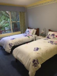 two beds in a room with a large window at Donalea Bed and Breakfast & Riverview Apartment in Castle Forbes Bay