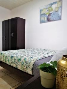 1 dormitorio con 1 cama, armario y planta en Kubo Apartment Private 2 Bedrooms 5 mins SJO Airport with AC, en Alajuela