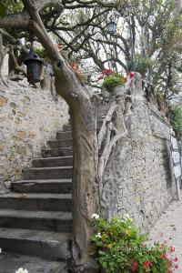 ヴィトラックにあるHôtel Restaurant Plaisance-Piscine couverte et chauffée- Proche Sarlat-のギャラリーの写真