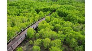 Paesaggio naturale nelle vicinanze dell'affittacamere