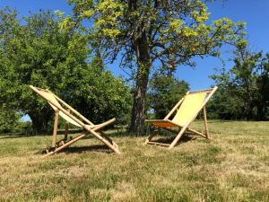 two chairs sitting in the grass in a field at Landhaus Karnin in Karnin (Usedom)