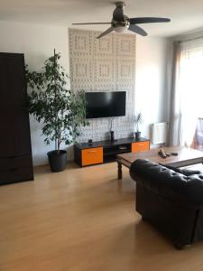 プラハにあるRichie Apartment near Aquaparkのリビングルーム(ソファ、薄型テレビ付)