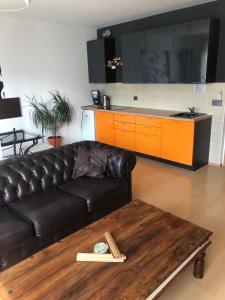 TV a/nebo společenská místnost v ubytování Richie Apartment near Aquapark + 32 fotografií