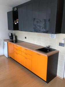 Cucina o angolo cottura di Richie Apartment near Aquapark