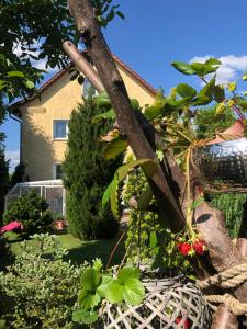 Fotografie z fotogalerie ubytování Pension Haus Bielke v Berlíně