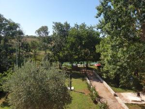 Vonkajšia záhrada v ubytovaní Holiday Home Borna