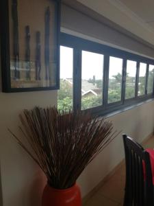 Gallery image of Avalon Guest House in Amanzimtoti