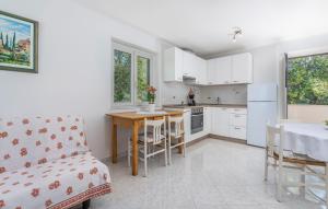 Kuchyň nebo kuchyňský kout v ubytování Holiday house Desy Tar