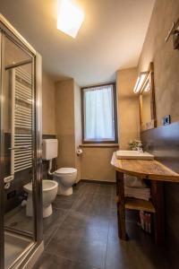 a bathroom with a toilet and a sink and a shower at La Stazione dell'Acqua in Introd